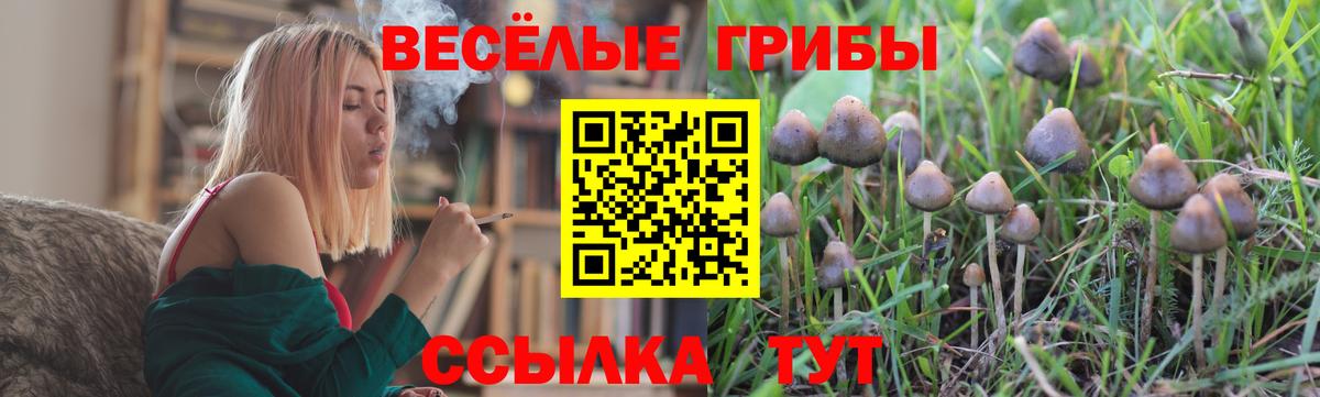 Галлюциногенные грибы GOLDEN TEACHER Магнитогорск
